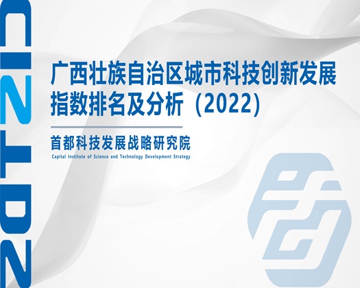 我想透阴道逼了【成果发布】广西壮族自治区城市科技创新发展指数排名及分析（2022）